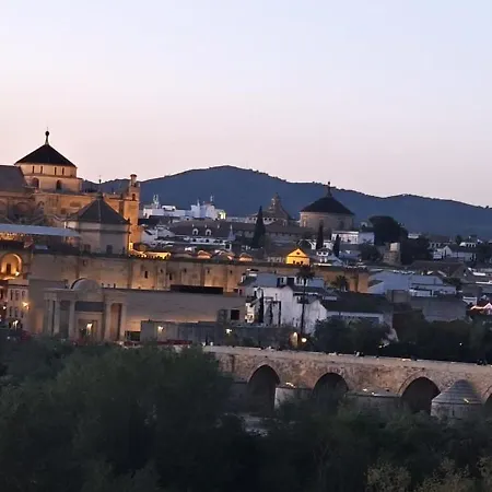 Vistas A La Mezquita * Cordoba